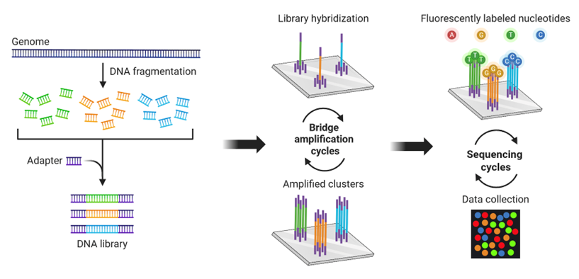 How to choose the right sequencing technology - Cover Image