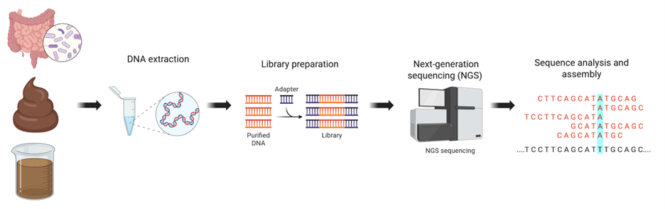 Microbiome Analysis using Next-Generation Sequencing (NGS) - Cover Image