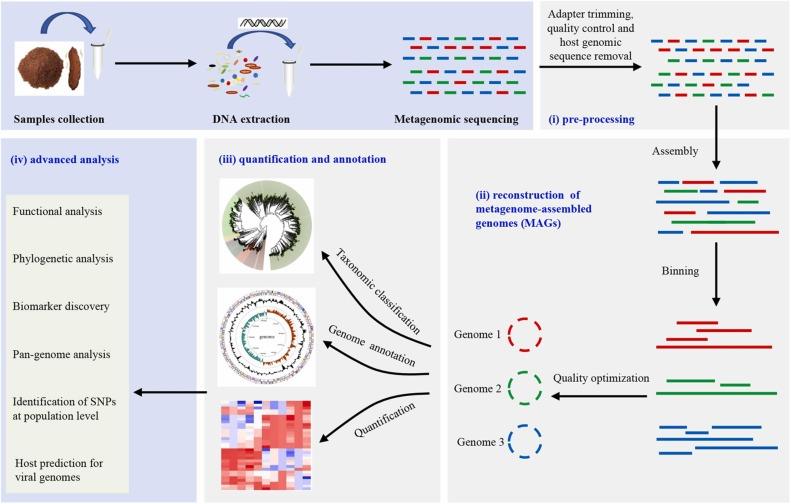 What Is Shotgun Metagenomic Sequencing - Cover Image